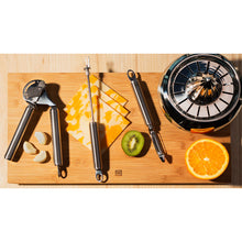 Stainless Steel Fruit Juicer with Drip Tray