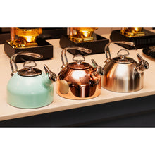 Stainless Steel Tammi Harmonic Whistling Kettle (1.7L) with satin polish