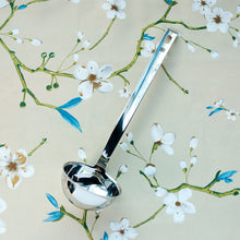 Soup Ladle