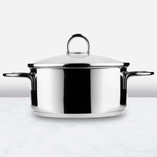 Classic Stainless Steel Low Casserole Pot