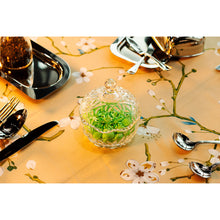 Glass Storage Box Glass Spherical Shape with Lid