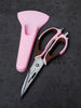 Stainless Steel Multi-Purpose Kitchen Shears