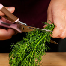 Stainless Steel Multi-Purpose Kitchen Shears