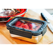 Food Preservation Box Set of 3 (450mL / 1100mL / 2500mL)