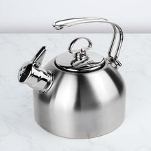 Stainless Steel Tammi Harmonic Whistling Kettle (1.7L) with satin polish